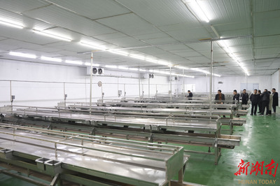 洞庭月历｜二月·渔民 湖平浪静，岸边泊着美好的梦与丰饶的农副产品