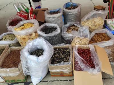 庆丰收 感党恩——蕲春县农副产品展销会隆重开幕，特色好物汇聚一堂