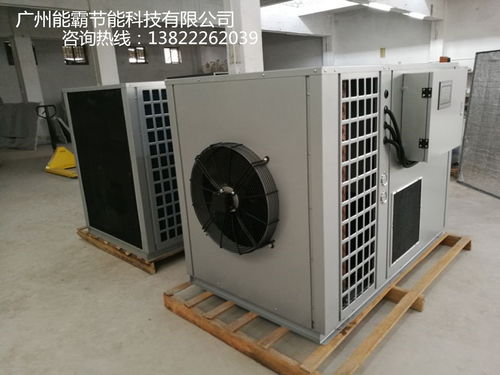 菠萝片烘干机选购指南 厂家价格、图片与批发渠道解析