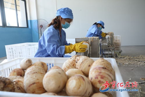 宁化农副产品加工及冷链配送一体化建设项目投入生产