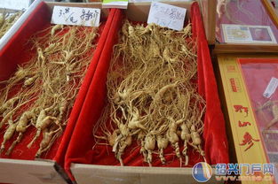 年味中的乡土情 2015绍兴越王城庙会暨农副产品展销会侧记