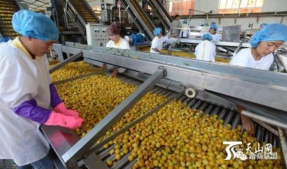 巴州 临空经济正起航，农副产品翱翔天际