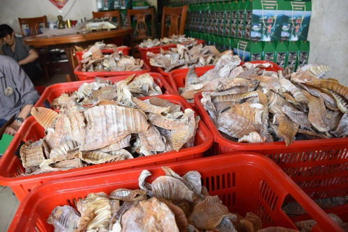 红星村土特产火热销售，单次销售突破十万元大关